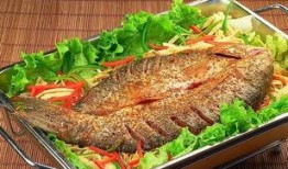 石家庄烤鱼爆料视频播放,视频播放量惊人！